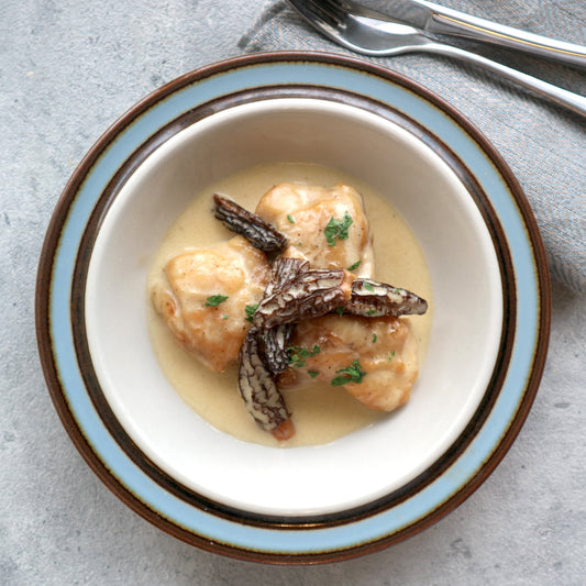 鶏肉とモリーユ茸のクリーム煮